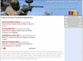 bestpaintballgun.org