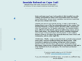 dinagoldin.com