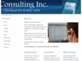 livelyconsultinginc.com