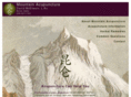 mountainacupuncture.net
