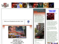 the-village-inn.com