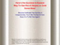amazingherpesandcoldsoresystem.com