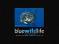 bluewildlife.com