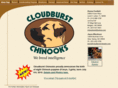 cloudburstchinooks.com