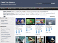 feedthesharks.com