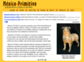 mexicoprimitivo.com