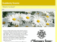suddenlyscenic.com