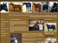 suitorquarterhorses.com