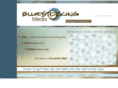 bluestockingmedia.com