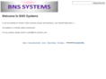 bns-systems.com