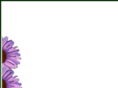 dumovicclinic.com