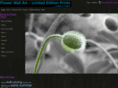 flowerwallart.com