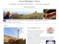 courtbleddyn.com
