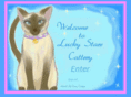 luckystarscattery.com