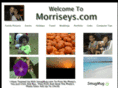 morriseys.com
