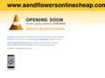 sendflowersonlinecheap.com