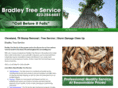 bradleytreeservicetn.com