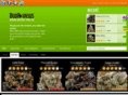 budreviews.com