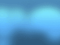 cuttertechnologies.com
