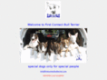firstcontactbullterrier.com