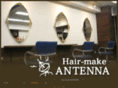 antenna-hair.mobi