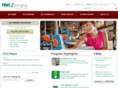 flintenergystore.com