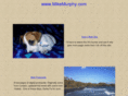 mikemurphy.com