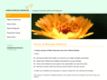 andenaes-method.com