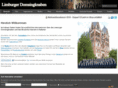 limburger-domsingknaben.de