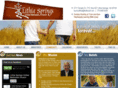 lithiaspringsmethodist.com