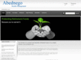 abednegowealth.com