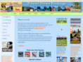 onlineactivitydesk.com