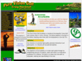 purevisiongolf.com