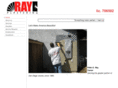 rayplastering.com