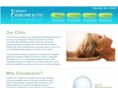 schertzchiropractic.com