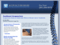 southeastacupuncture.com