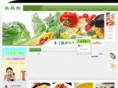 szycr.com