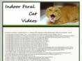 indoorferalcats.com