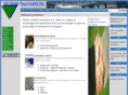 infodensolutions.com