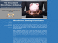 stuymicrofinance.com