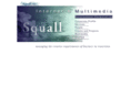 squall.com