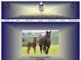 trakehner-gobert-hoffmann.com