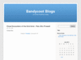 bandycoot.com