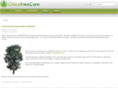 chicotreecare.com