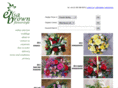 flowerstyle.co.uk