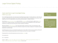 largeformatprintingdigital.com
