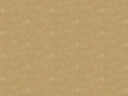 valliostrowski.com
