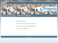 mag-netic.com