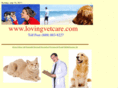 allcitiesanimlahospital.com