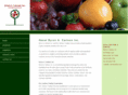 bacarlson.com